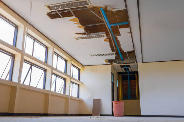 Best Carpet water damage restoration  in Selma, TX