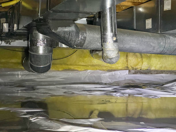 Best Professional water damage repair  in Selma, TX