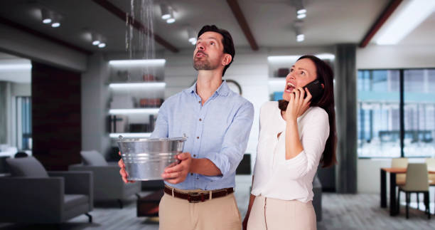Best Water damage restoration near me  in Selma, TX